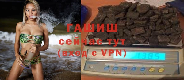индика Беломорск