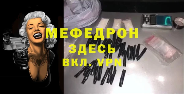 индика Беломорск