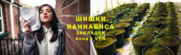 ешки Богородск