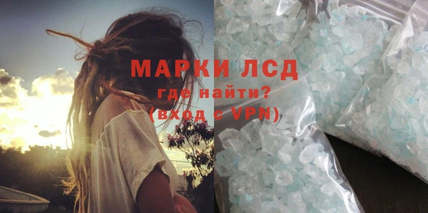 индика Беломорск