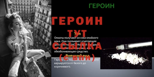 индика Беломорск